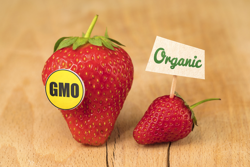Alimentos transgénicos ¿es saludable consumirlos, o no ? Comunidad Ecoactivo Alimentos transgénicos ¿es saludable consumirlos, o no ? Comunidad Ecoactivo